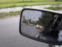 Regen