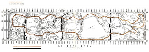 Ccentral Park GP Ccentral Park GP